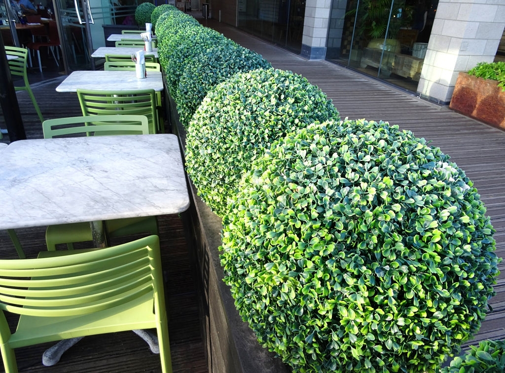 How to Clean Artificial Boxwood Panels
